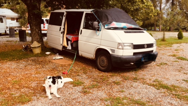 A202646F-A81D-4E8F-A7DB-113CED32C4CC