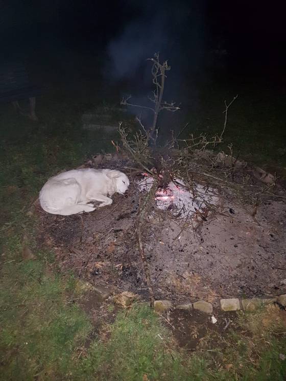 Foto 10.05.19, 09 03 48