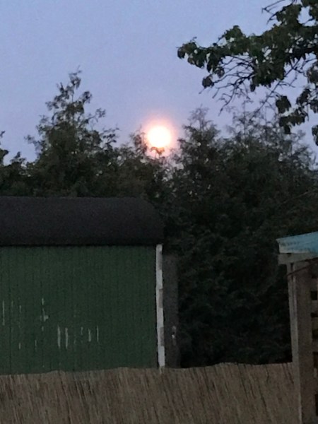 Foto 18.05.19, 22 03 32