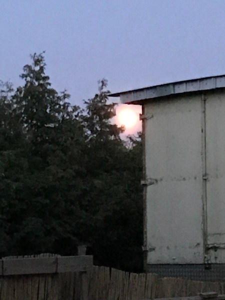 Foto 18.05.19, 22 04 50