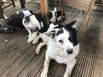 Foto 02.08.19, 11 51 13