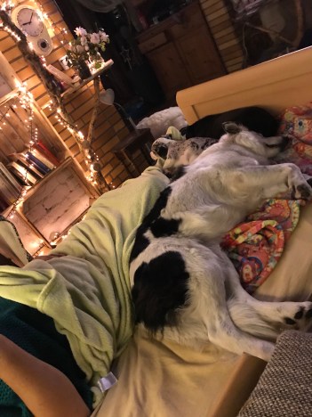 Foto 17.08.19, 22 14 59