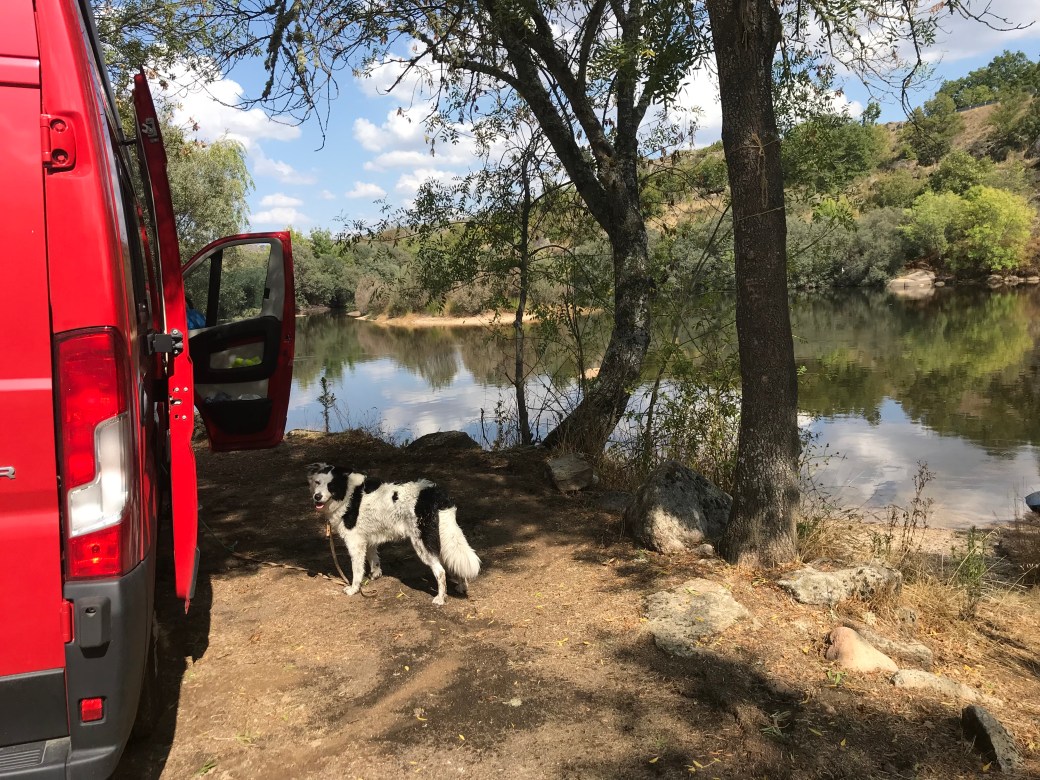 Foto 18.09.19, 14 49 03.jpg