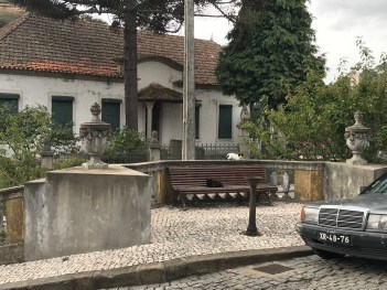 Foto 21.09.19, 13 00 37.jpg