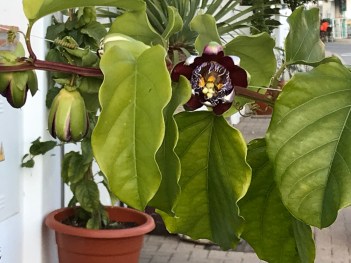 Foto 16.11.19, 17 19 34.jpg