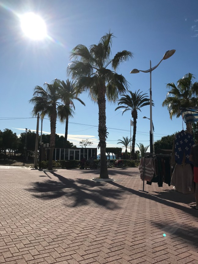 Foto 01.12.19, 12 27 00