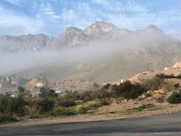 Foto 08.01.20, 09 56 09