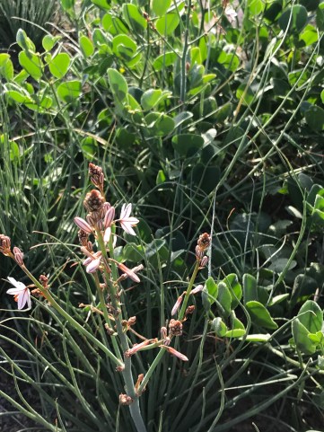 Foto 08.01.20, 10 00 11