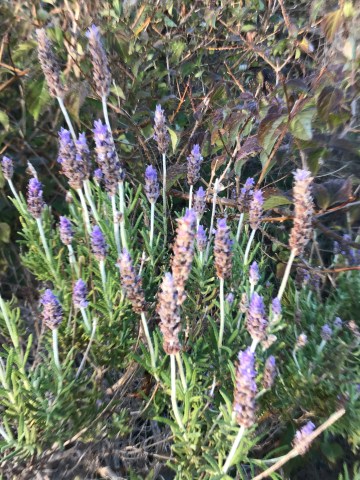 Foto 08.01.20, 10 01 53