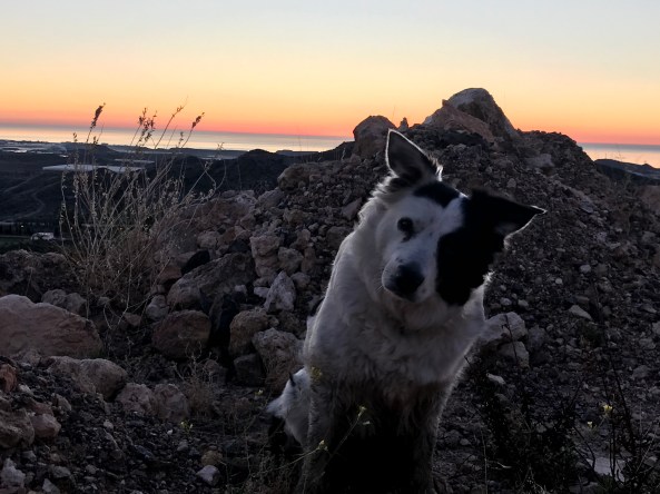 Foto 04.02.20, 08 02 16